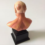 Figurine statuette L'Attaque des Titans du Titan Colossal