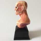 Figurine statuette L'Attaque des Titans du Titan Colossal