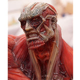 Figurine statuette L'attaque des Titans du Titan colossal